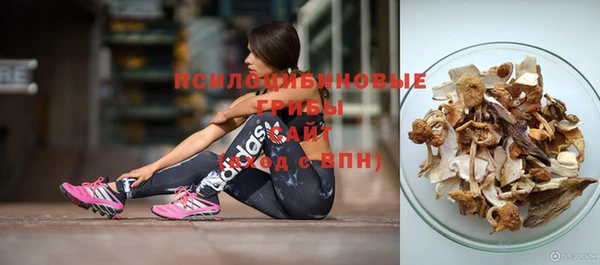 гидропоника Иннополис