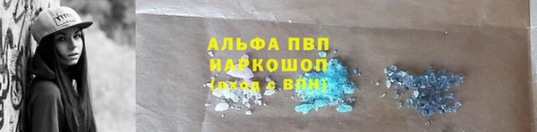 гидропоника Иннополис