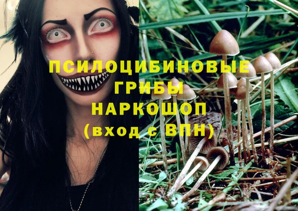 молекула духа Инта