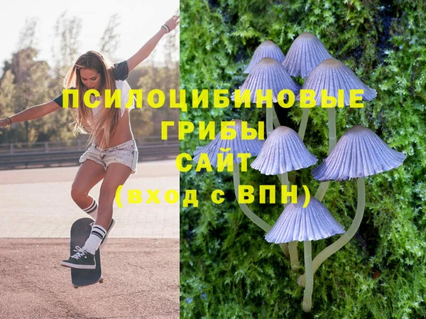 гидропоника Иннополис