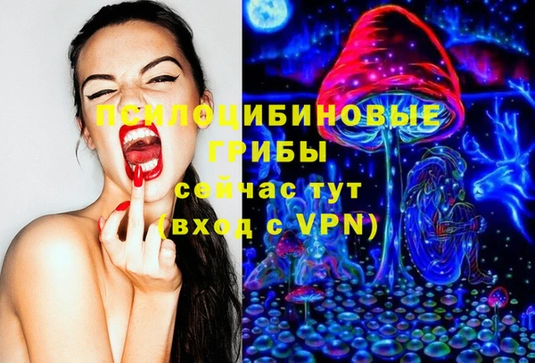 молекула духа Инта