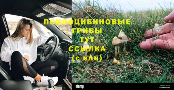 первитин Инсар