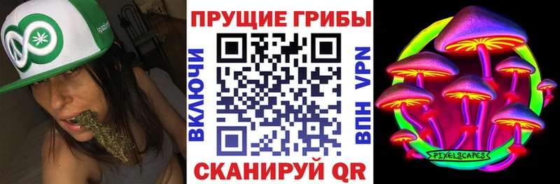 Псилоцибиновые грибы GOLDEN TEACHER  Купить закладки  Кольчугино 