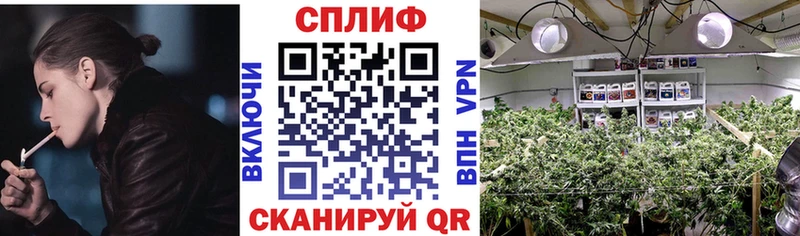 Шишки марихуана THC 21%  Купить закладки  Кольчугино 